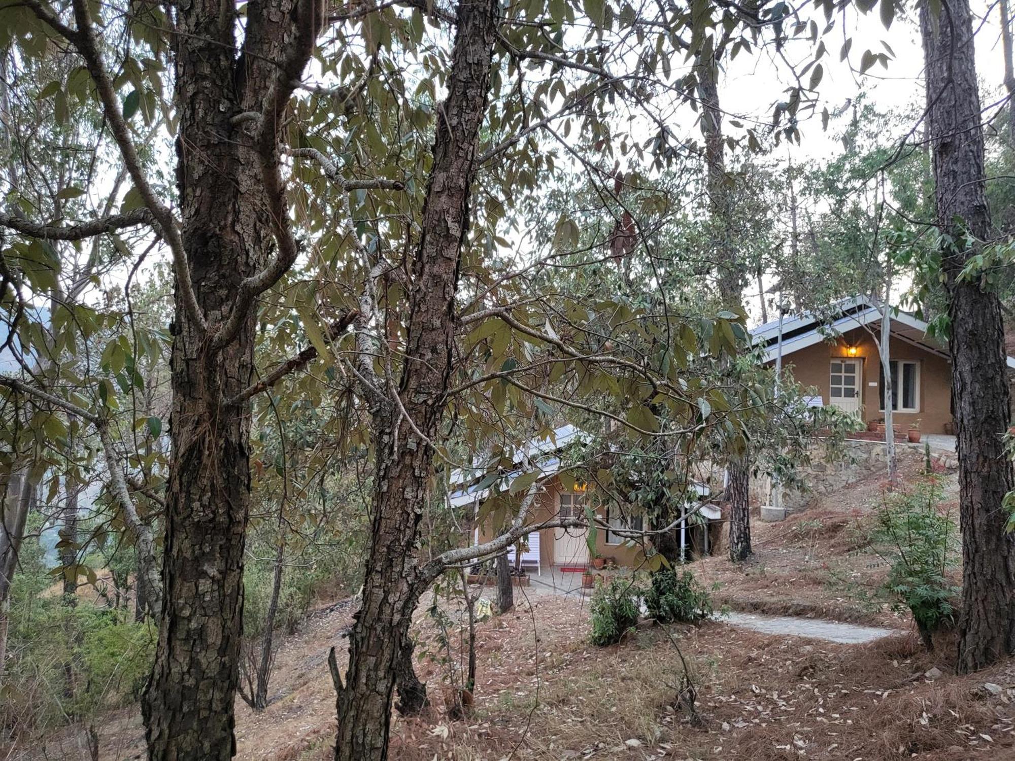 Rainbow Resorts Solan Phòng bức ảnh